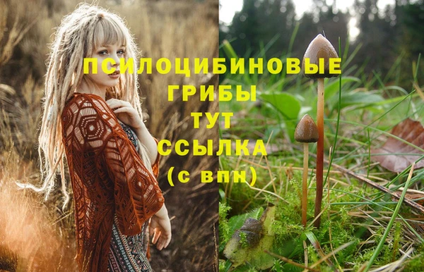 тгк Абинск
