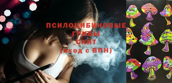 тгк Абинск