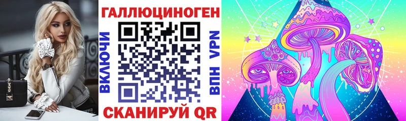MEGA зеркало  Чехов  Галлюциногенные грибы GOLDEN TEACHER 