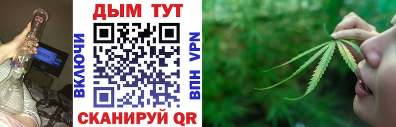 Канабис конопля Чехов